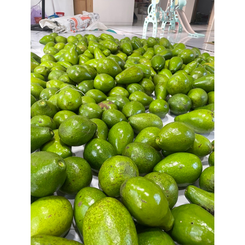 

HEMAT 2kg isi 10-12 buah