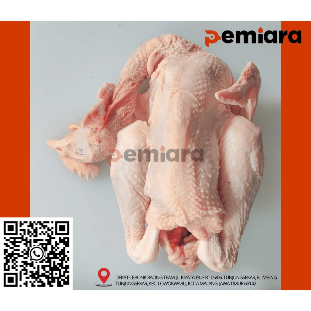

Ayam Kampung / Ayam Pejantan Karkas Utuh - Higienis Dan Berkualitas