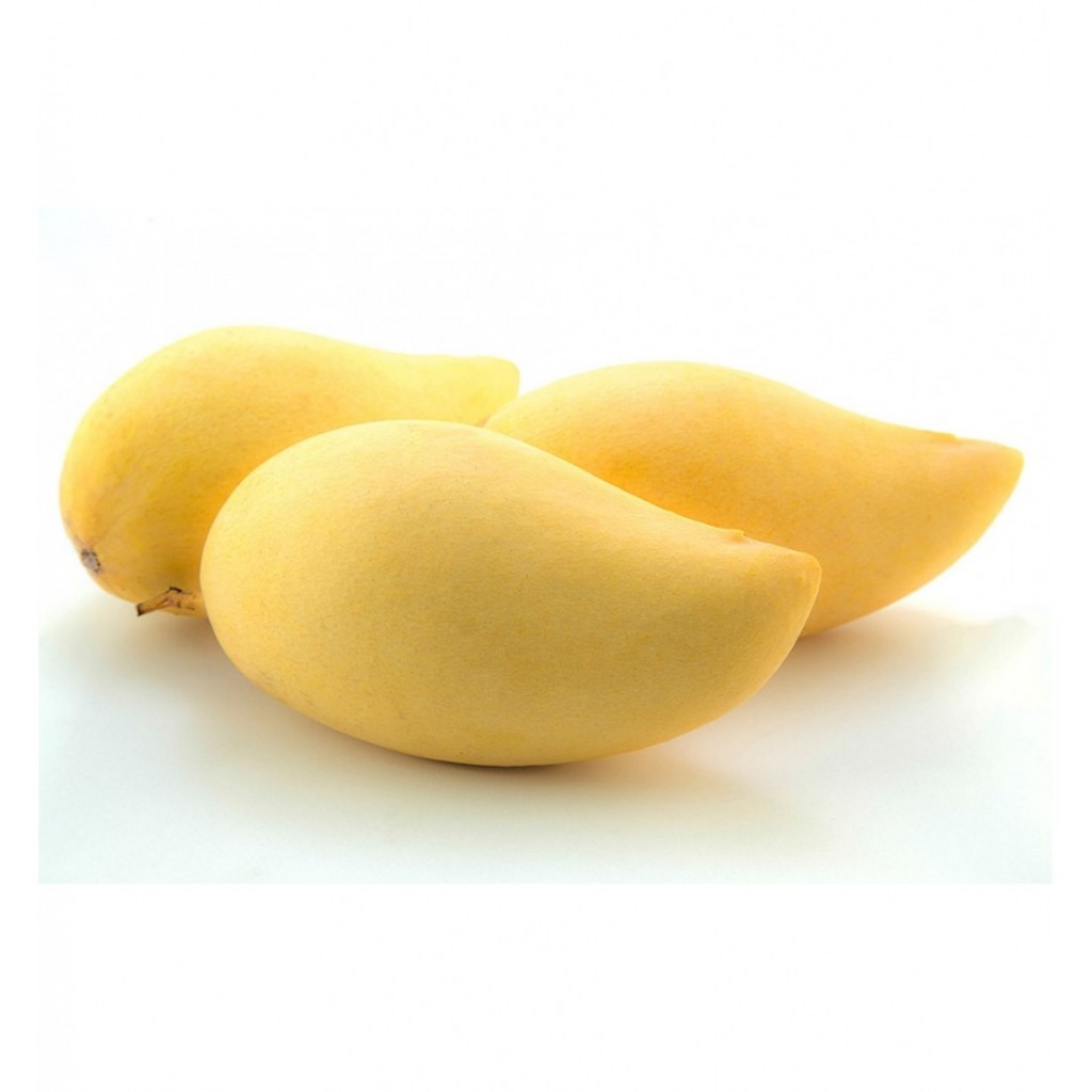 

MANGGA NAM DOK MAI THAILAND - SUKABUAH