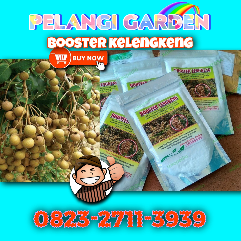 Booster Kelengkeng Murni, Booster Kelengkeng Murni 1Kg, Booster Kelengkeng Merah, Booster Kelengkeng