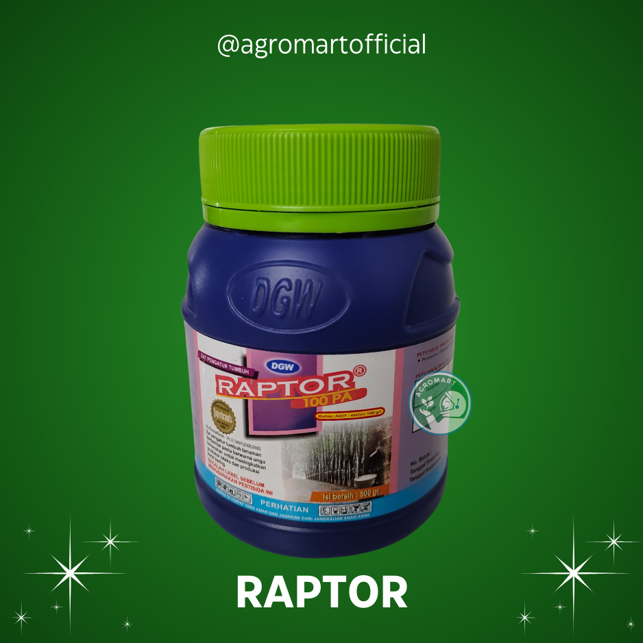 Raptor 100 PA 500gram/ZPT penambah getah karet