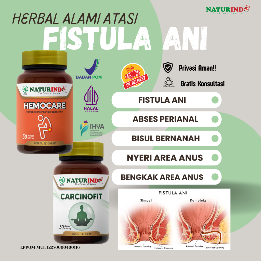 Obat Fistula Ani Bisul Bernanah Abses Perianal Nyeri area Anus Herbal Ampuh