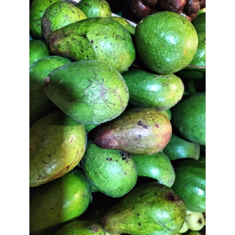 

AlpukatSuper1KgMurah