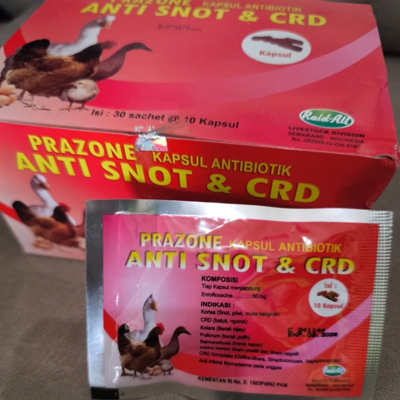 Parazone Kapsul Antibiotik Anti Snot & CRD