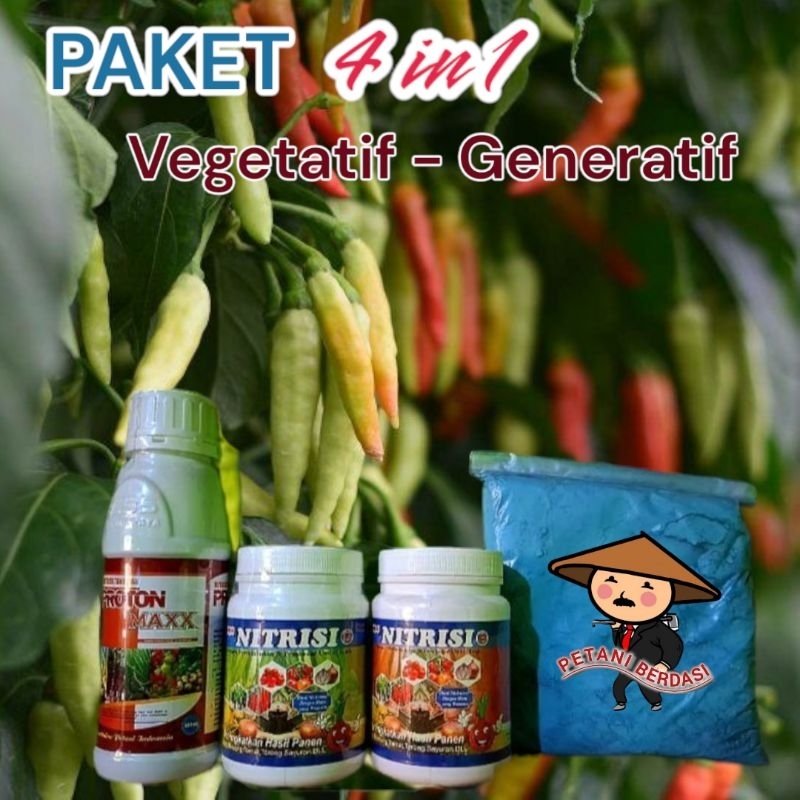 PROTON MAXX + NITRISI B[NUTRISI BUAH dan memperbanyak bakalan bunga] + NITRISI D [nutrisi Daun dan b