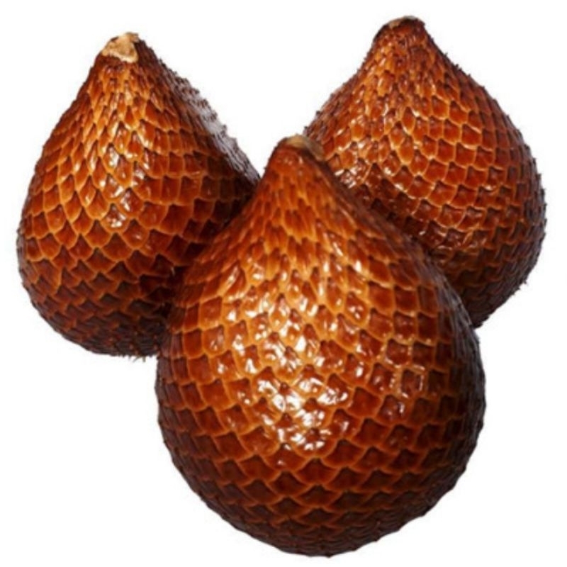 

salak pondoh super