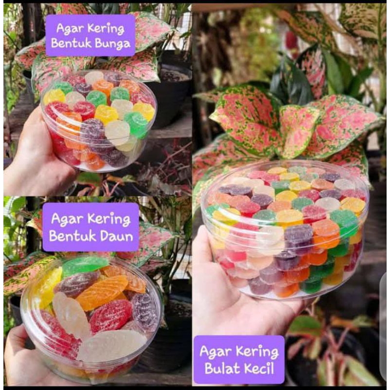 

Agar Kering Warna Warni