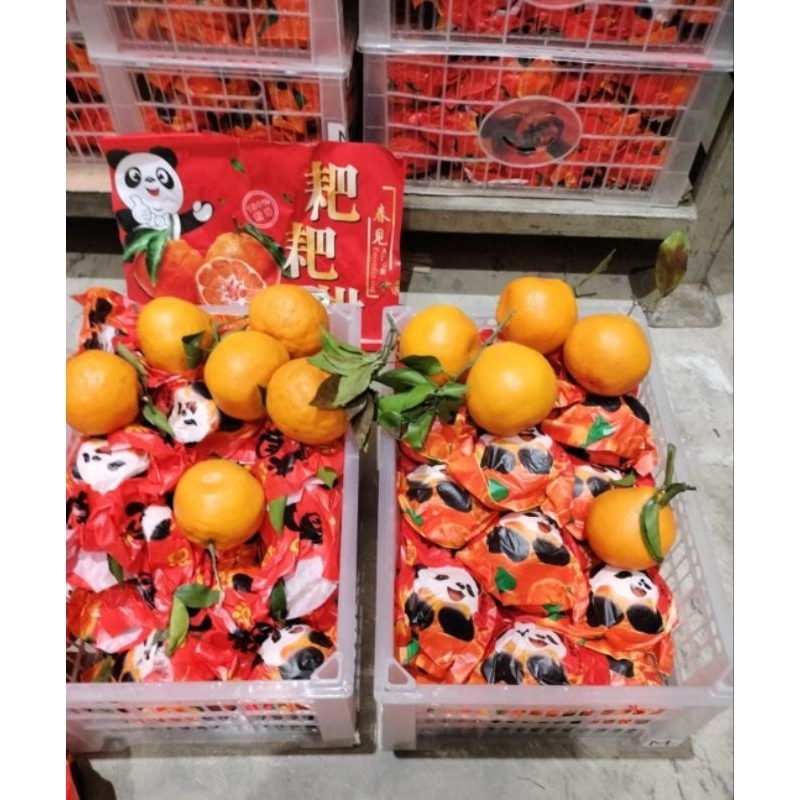 

jeruk dekopon 1 dus 4kg