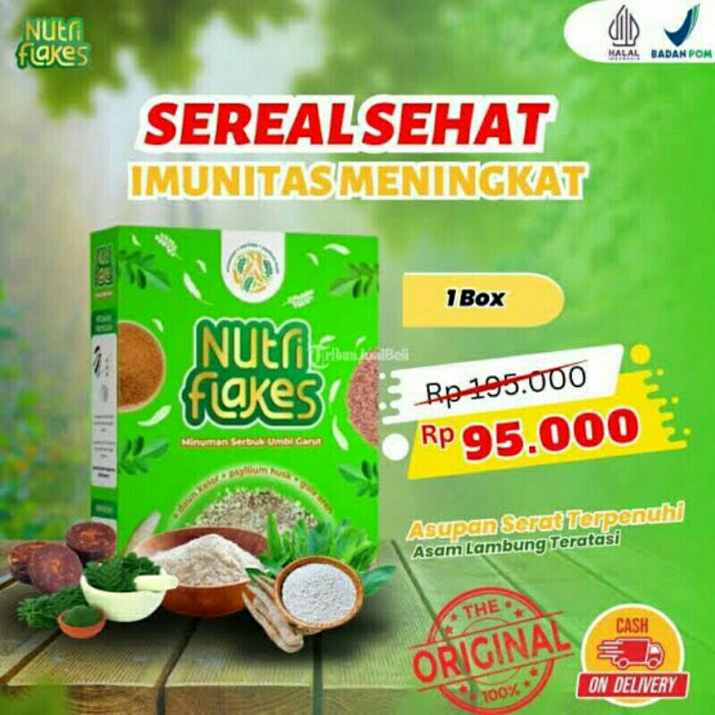 

SEREAL NUTRIFLAKES UMBI GARUT - BANTU ATASI PERMASALAHAN PADA LAMBUNG