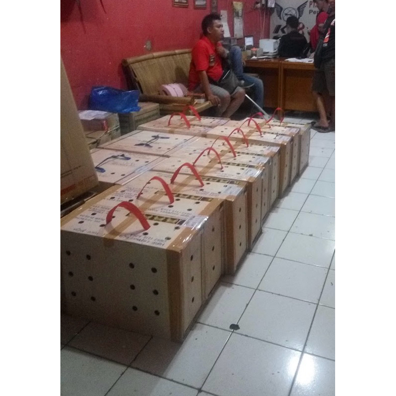 Ongkos Pengiriman Hewan Per Box Wilayah Bali Sumatera Via Bus