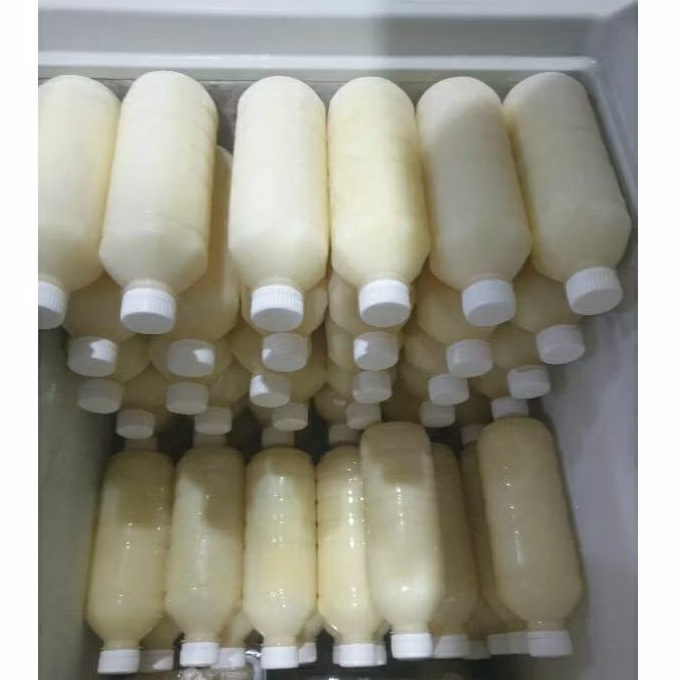 

Susu Kambing murni
