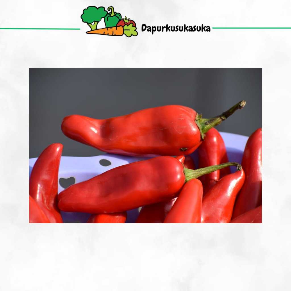 

Cabai Rawit Merah / Cabe Rawit Merah