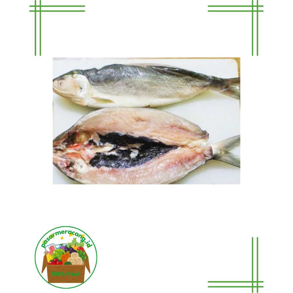 

Ikan Bandeng Segar / Bandeng Tanpa Duri