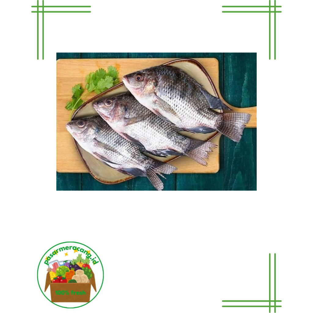 

Ikan Mujair / Ikan Nila Tawar Segar