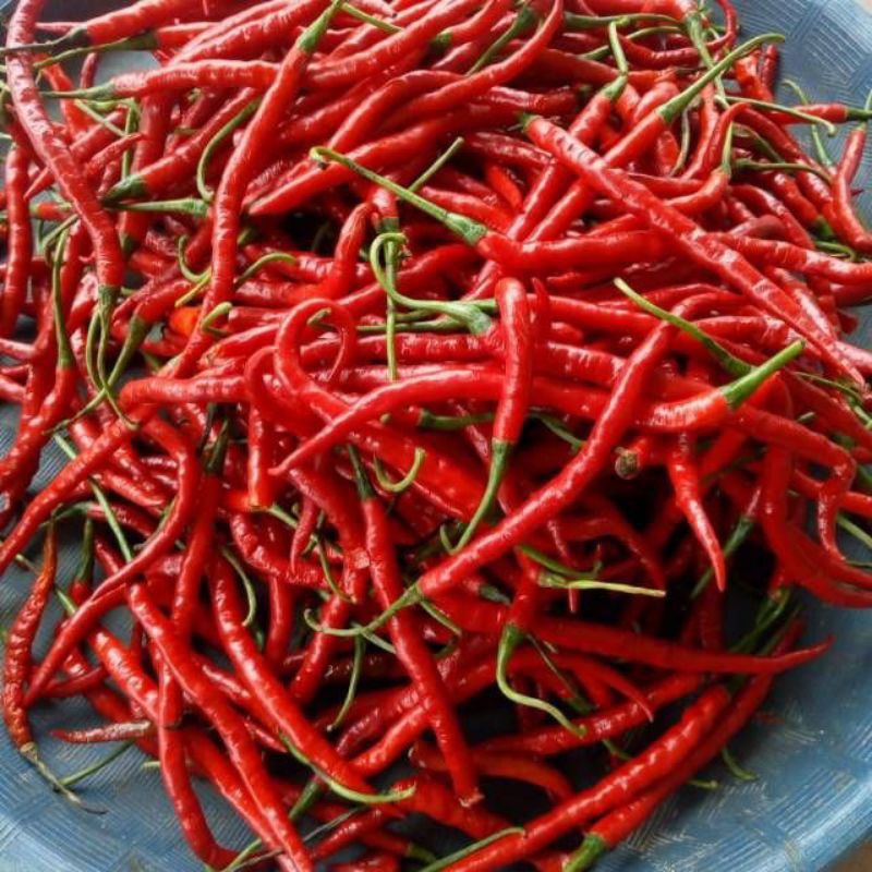 

Cabe Merah Keriting 1kg