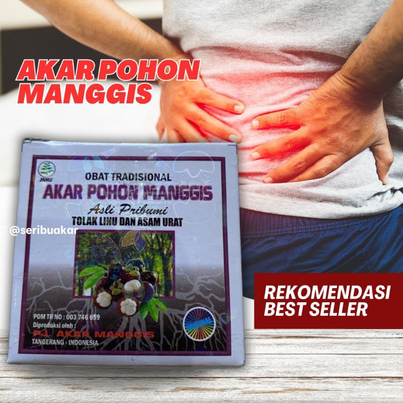 

Obat Tradisional Akar Pohon Manggis Tolak Linu