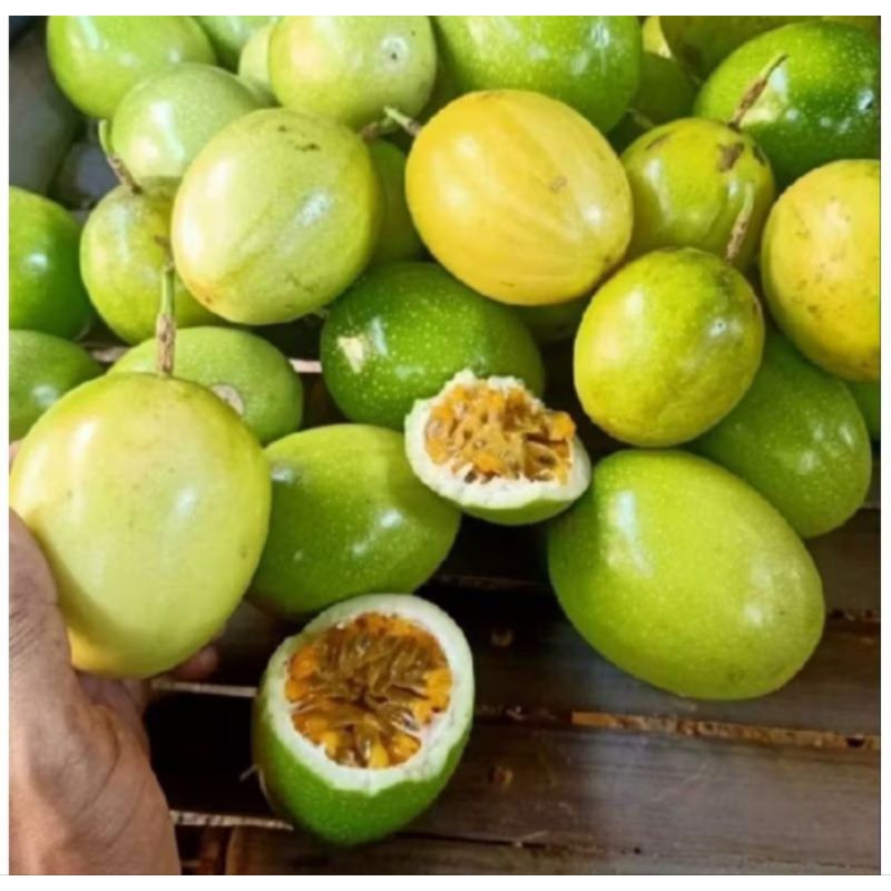 

1Kg Buah Markisa / BUAH MARKISA / MARKISA