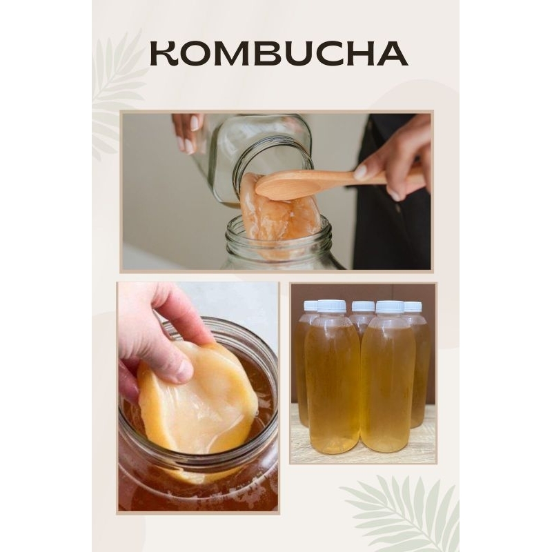 

TEH KOMBUCHA TEH FERMENTASI 1liter