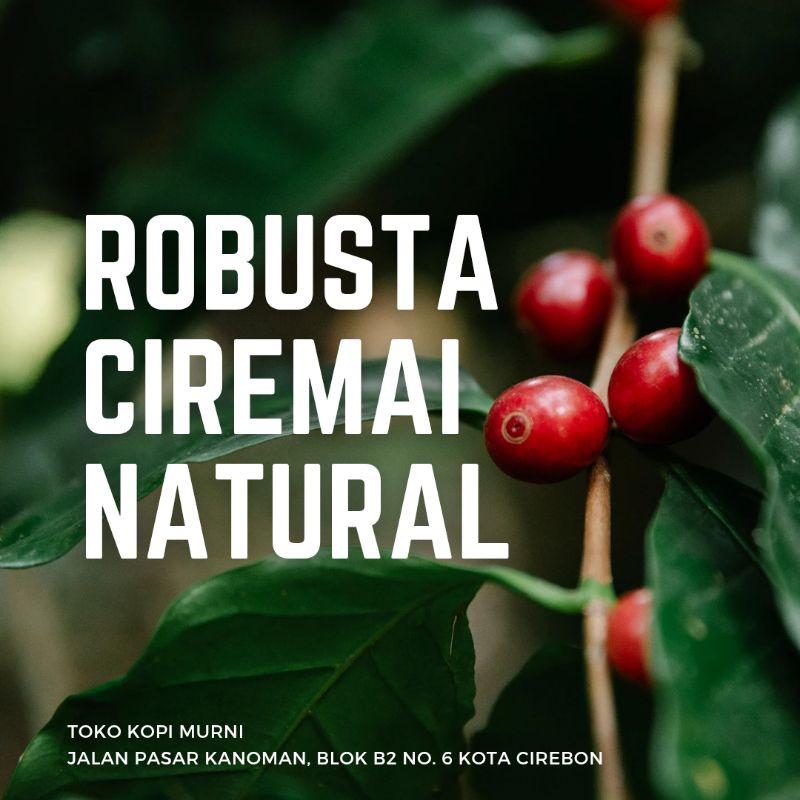 

BIJI - BUBUK KOPI ROBUSTA CIREMAI NATURAL - KOPIMURNI26 - SUPER PREMIUM