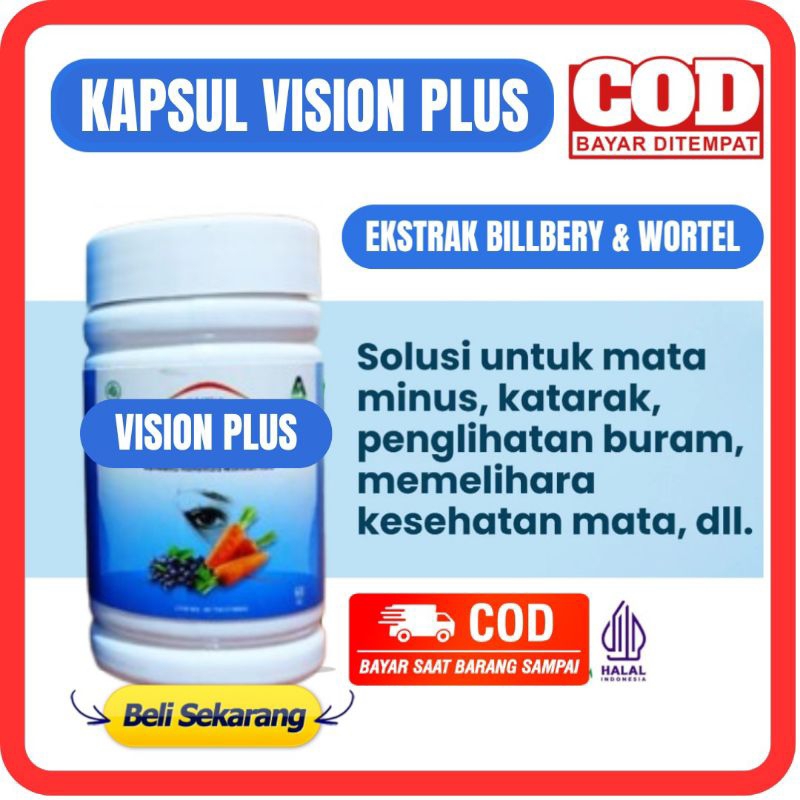 KAPSUL VISION PLUS ABABIL ISI 60 - KAPSUL MATA ABABIL VITAMIN MATA Ekstrak Bilberry Plus Wortel Obat