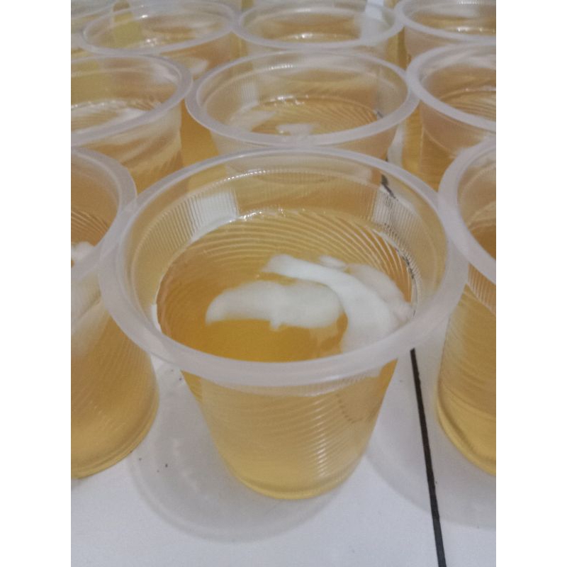 

Jelly Kelapa 5rb per cup Cup 12oz isi 150ml