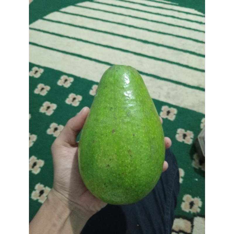 

ALPUKAT MENTEGA SUPER/JUMBO/1KG ISI 2-3 MURNI