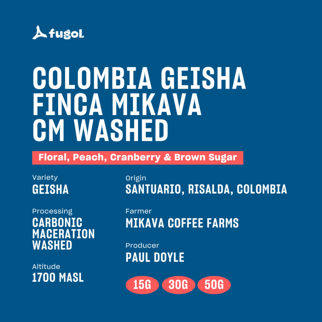 

Biji Kopi Arabika Colombia Geisha Finca Mikava CM Washed Specialty Arabica Coffee