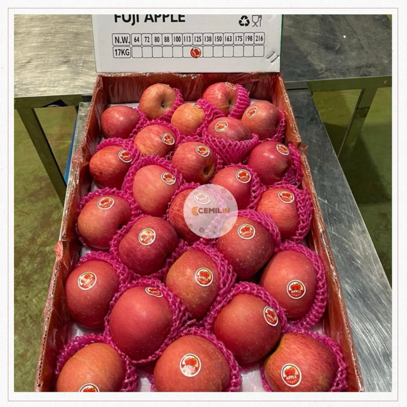 

Apel Fuji RRC | Apel Fuji Impor | Apel Jus Per dus