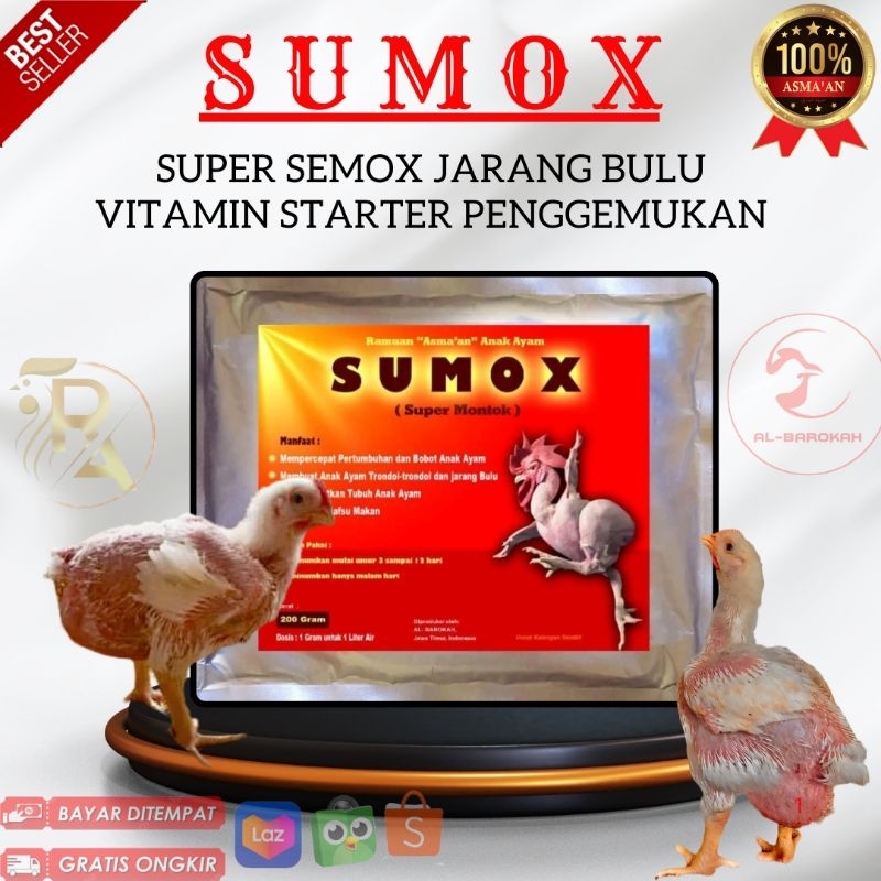 Sumox vitamin gendut ayam trondol vitamin ayam