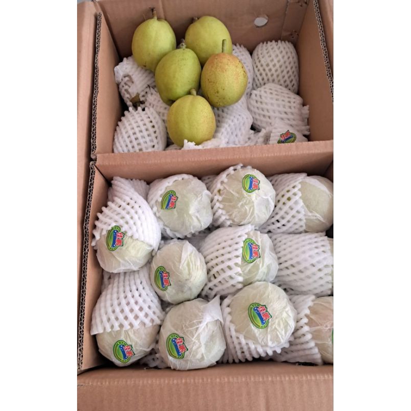 

Buah Pear Xianglie Manis/Fragrant pear