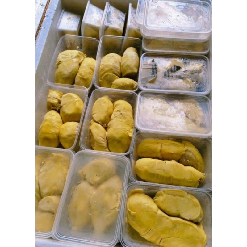 

Durian Montong Singaraja