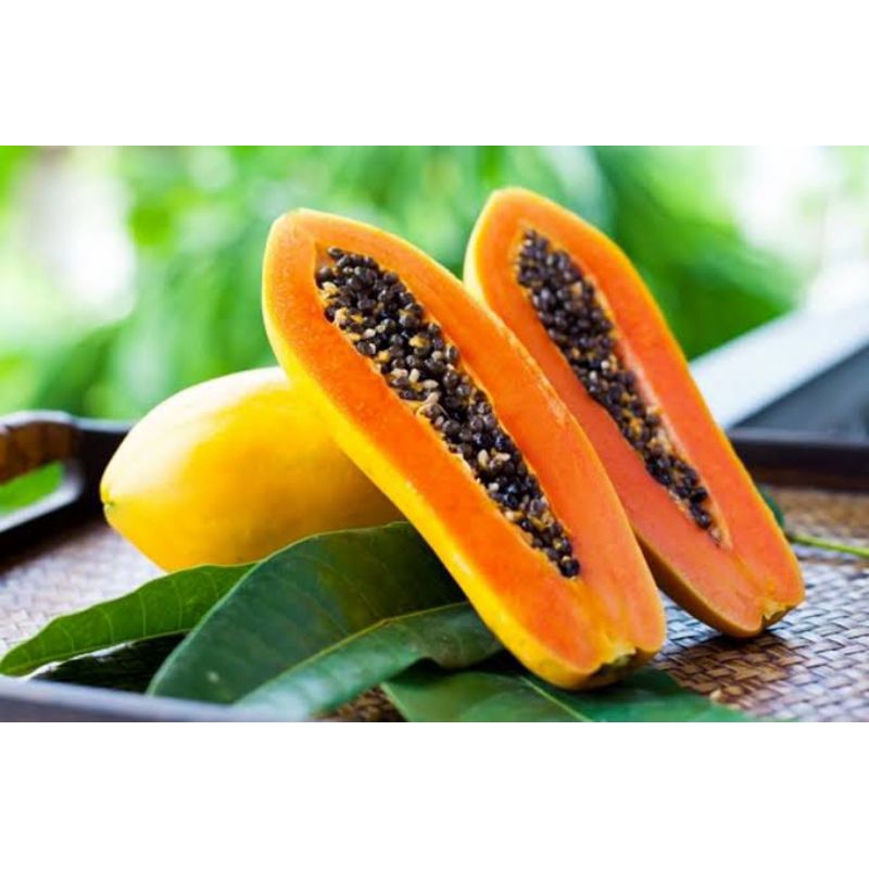 

pepaya california khas ipb babut per 1kg