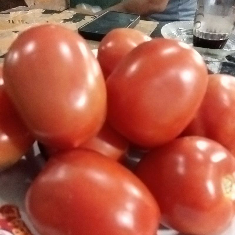 

Tomat Merah Pilihan Fresh 1KG