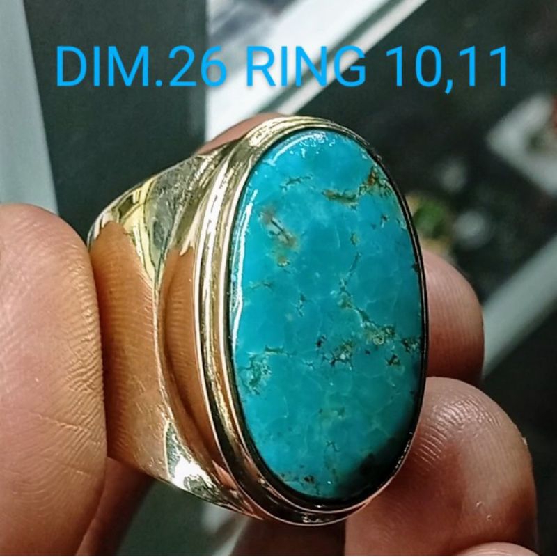 PIRUS PERSIA LAWASAN