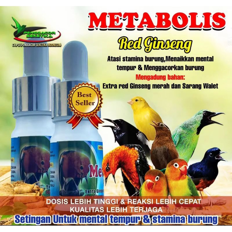 Metabolisme Red Ginseng vitamin suplemen/burung murai juara/kacer/cucakijo multivitamin semua burung
