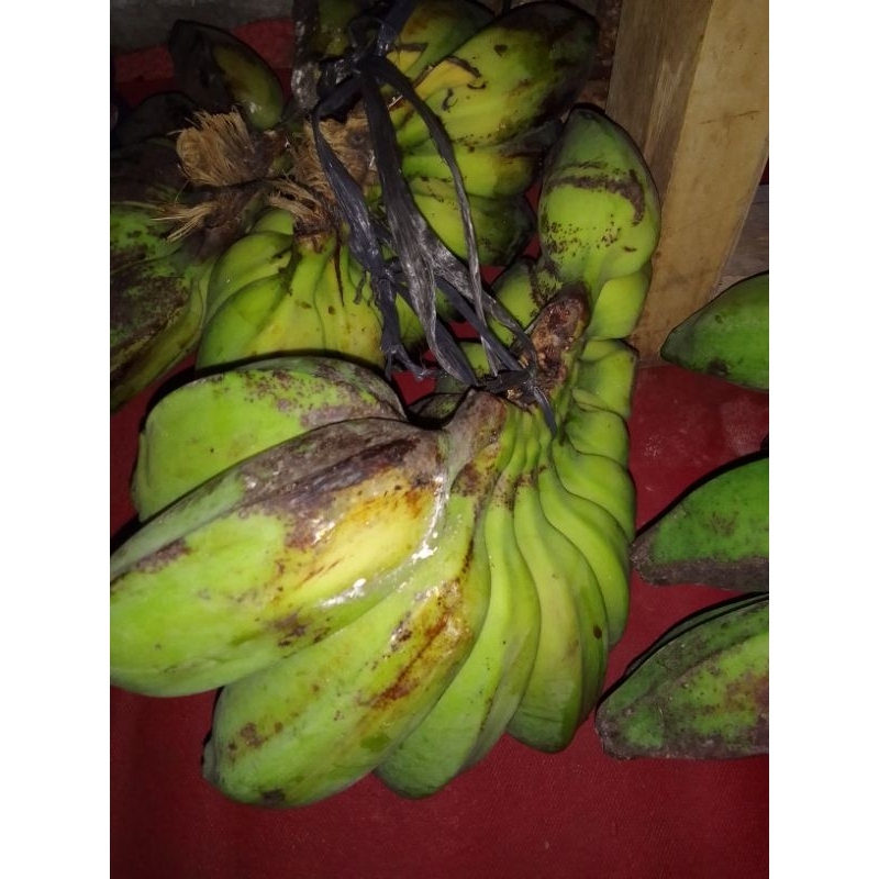 

Pisang kepok Besar/Harga persisir
