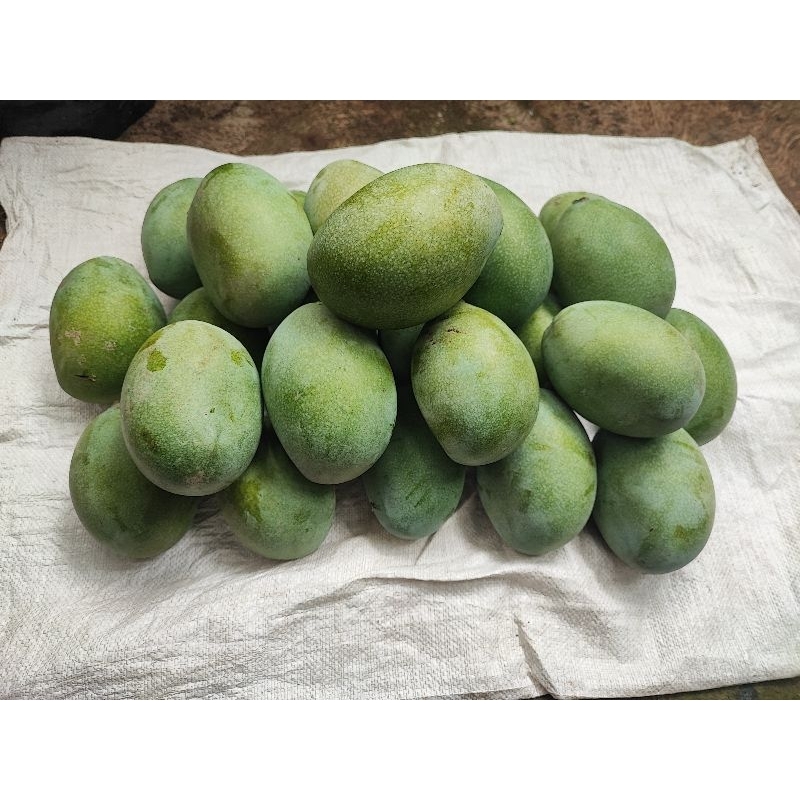 

1Kg Mangga manalagi/ mangga madu.