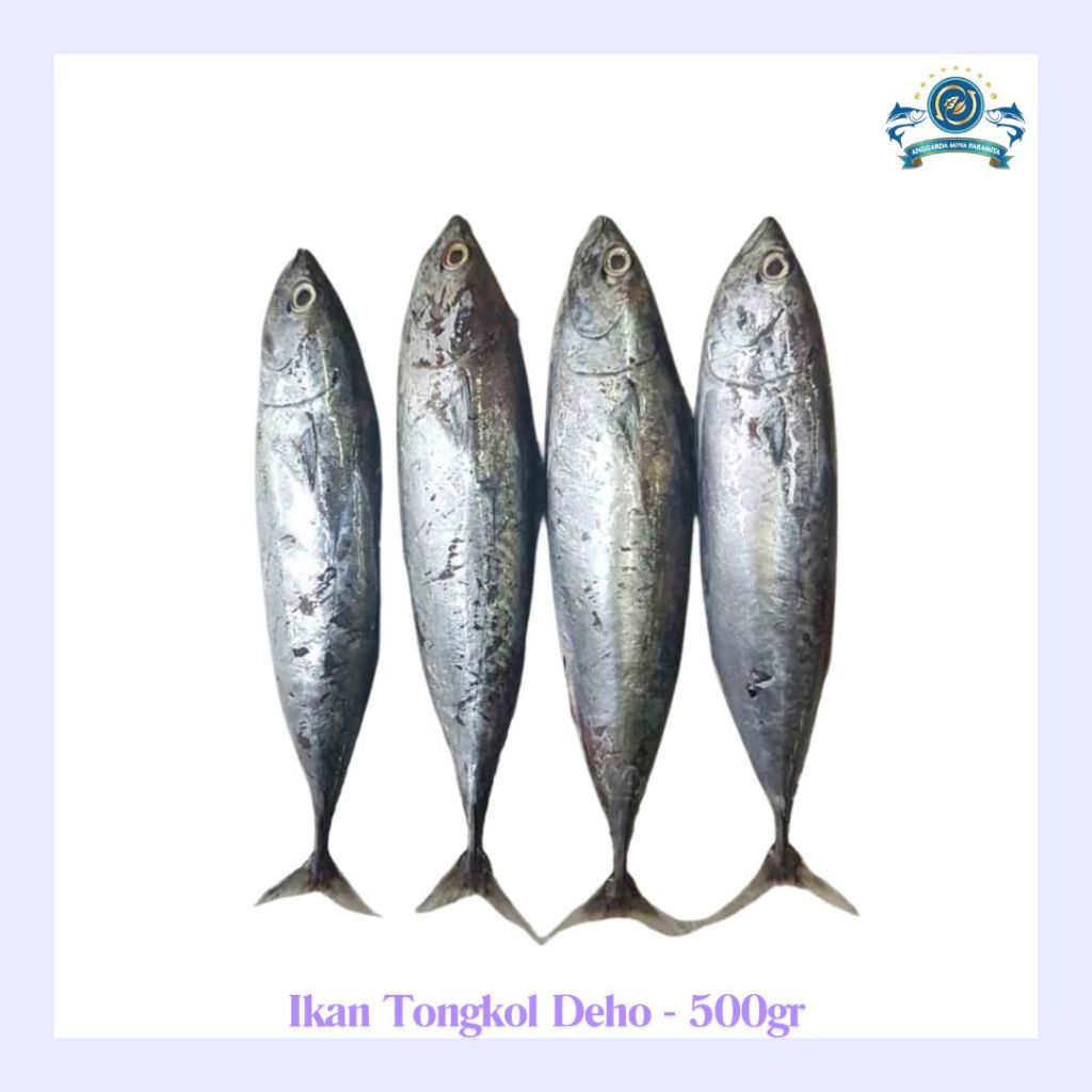 

Frozen Ikan Tongkol Deho 500gr (1-2pcs per pack)