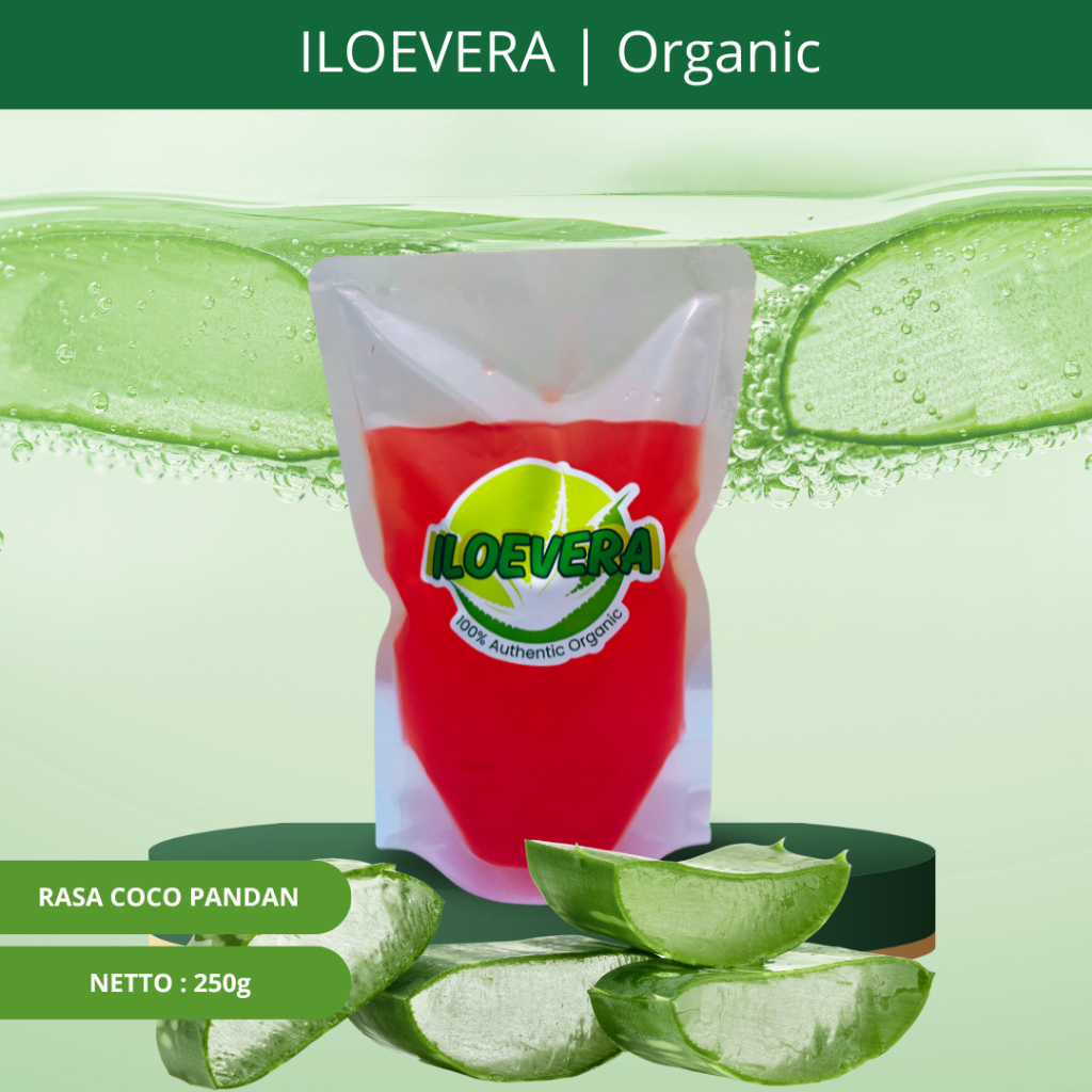 

Lidah Buaya Kupas / Nata De Aloe Vera 500g – 100% Organik, Kenyal, Sehat, dan Segar Rasa Coco Pandan