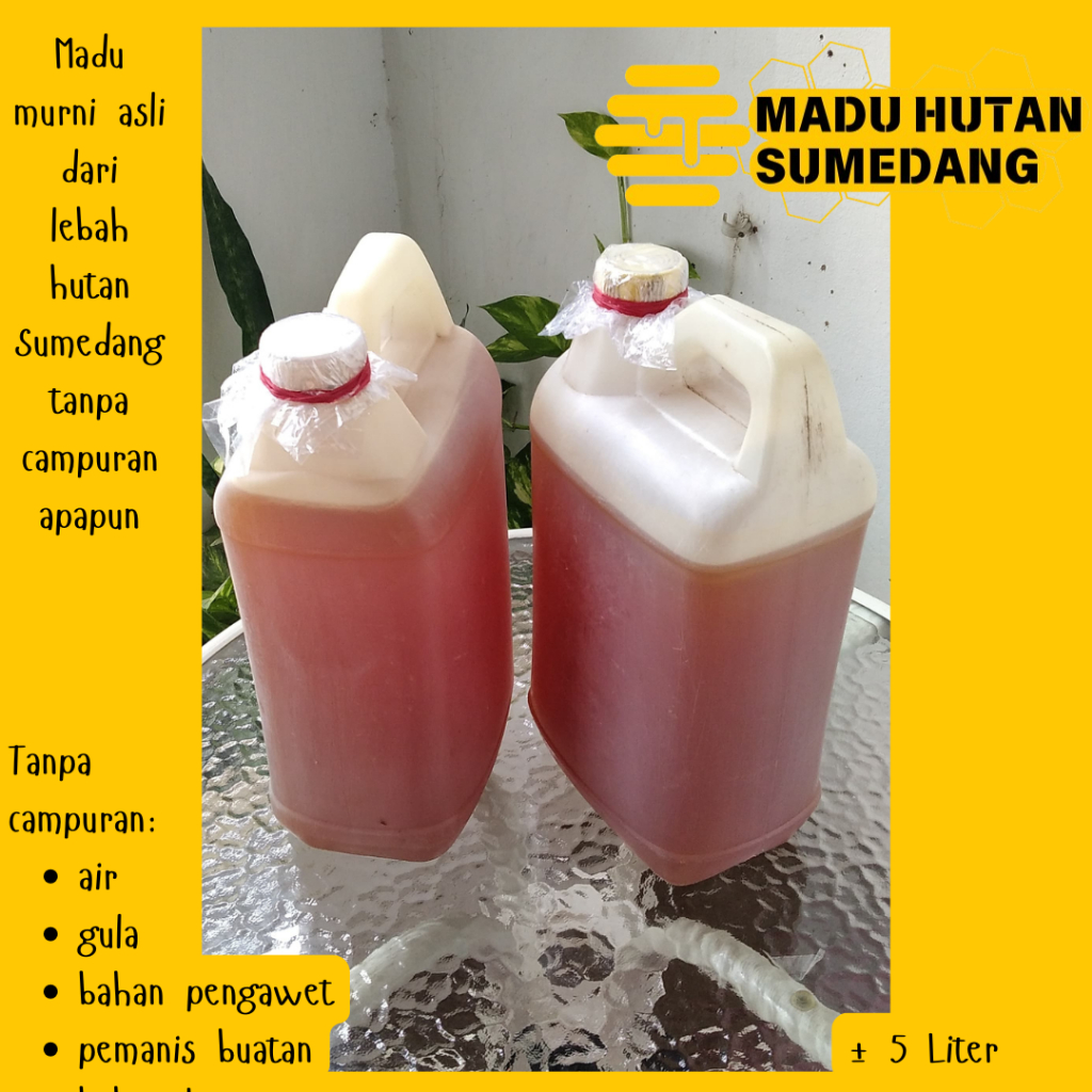 

Madu Hutan Sumedang Madu Asli Madu Murni Tanpa Campuran Apapun Madu Hutan Asli 100% Jerigen 1 Kg