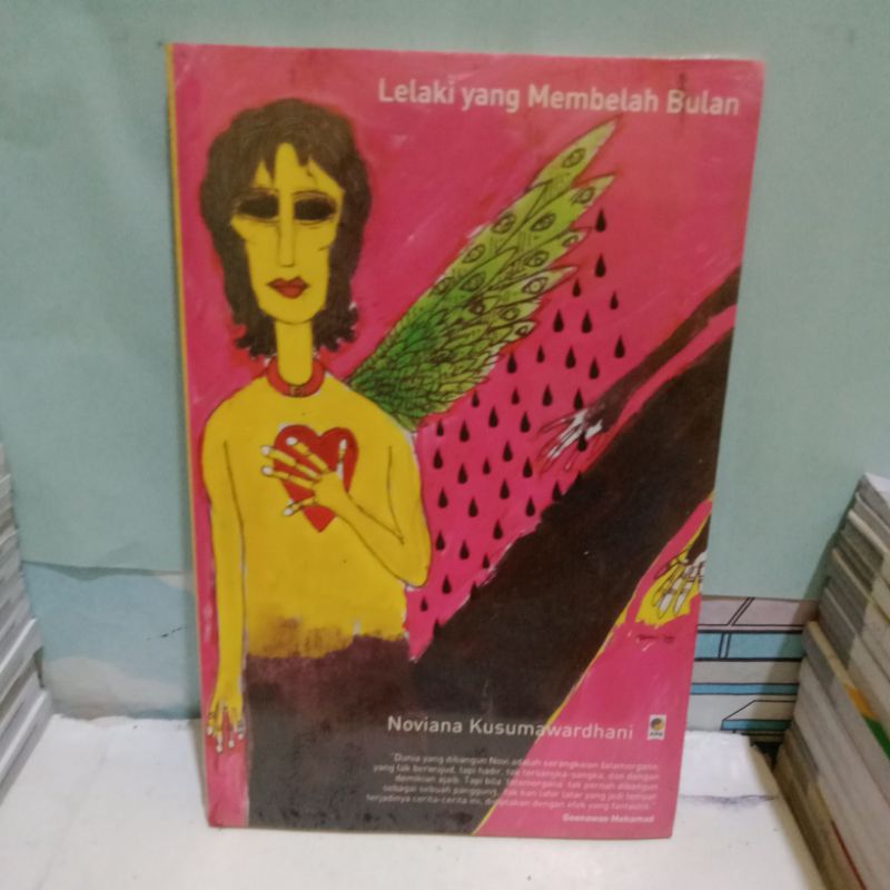 LELAKI YANG MEMBELAH BULAN