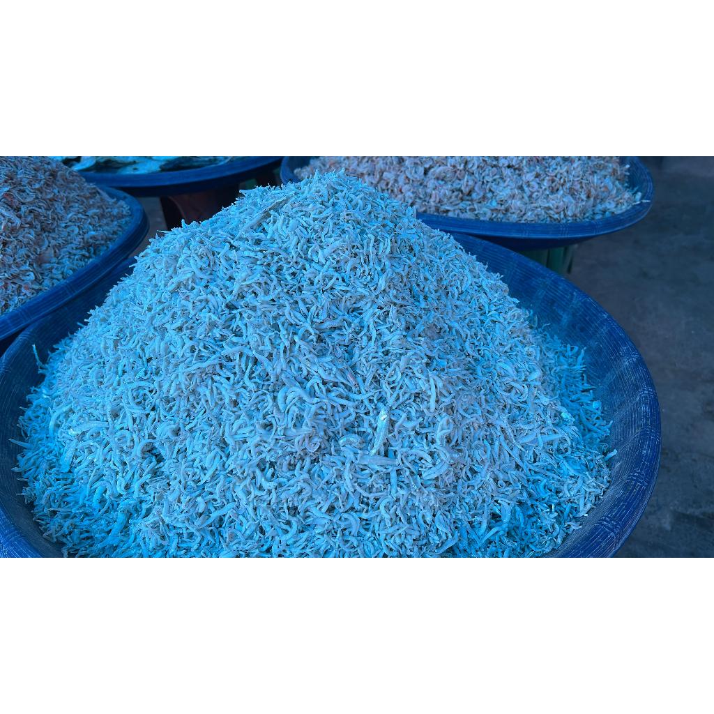

IKAN TERI MEDIUM
