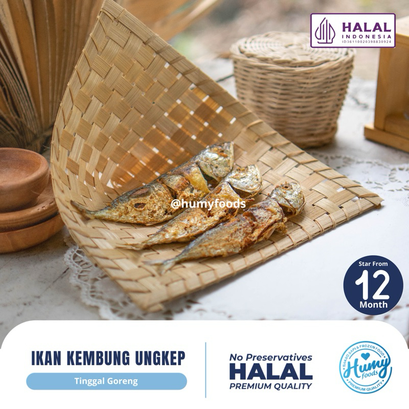 

IKAN KEMBUNG UNGKEP (3 EKOR) FROZEN halal tanpa pengawet
