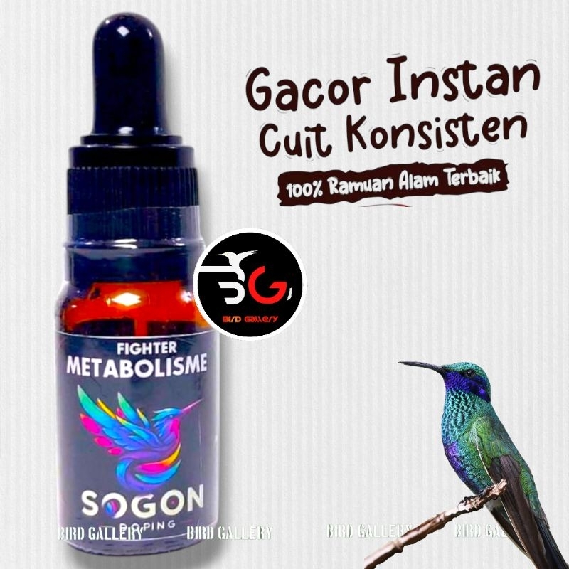 METABOLISME FIGHTER VITAMIN BURUNG SOGON PLECI
