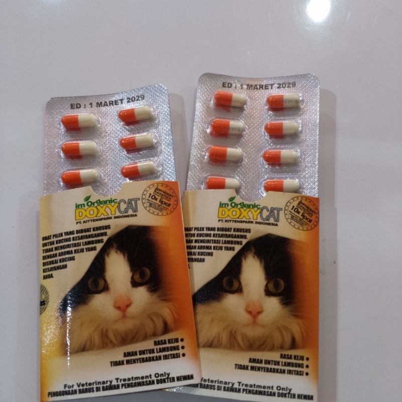 Doxy Cat 10 kapsul Im Organic Ecer Obat Flu Kucing
