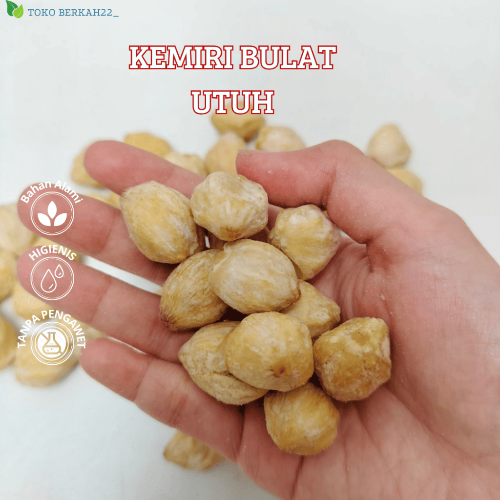 

Kemiri Utuh / Kemiri Bulat Utuh