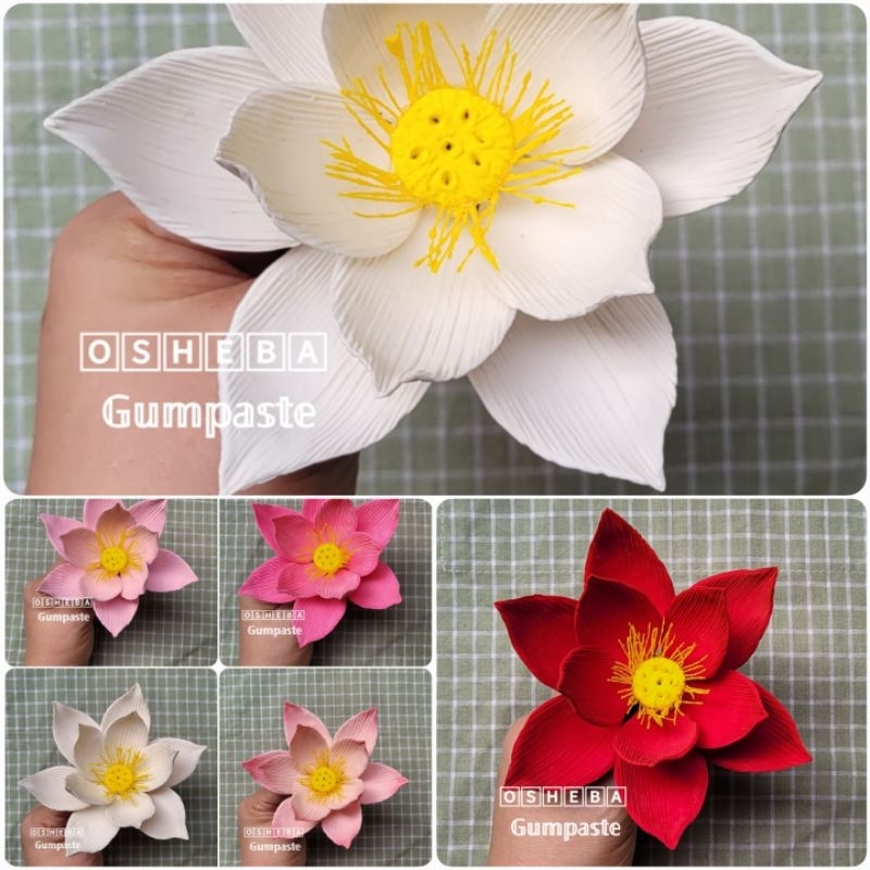 

[osheba] gumpaste bunga bs teratai / lotus besar 12