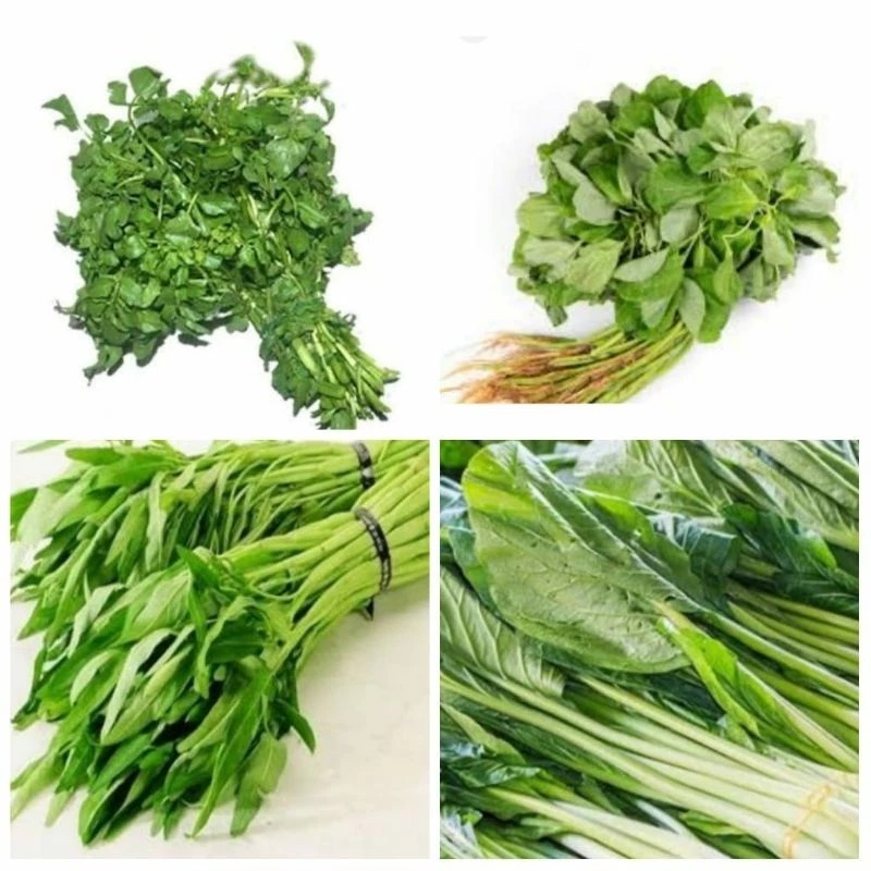 

Bayam kangkung caisim selada air dll/ sayur segar/ sayur murah