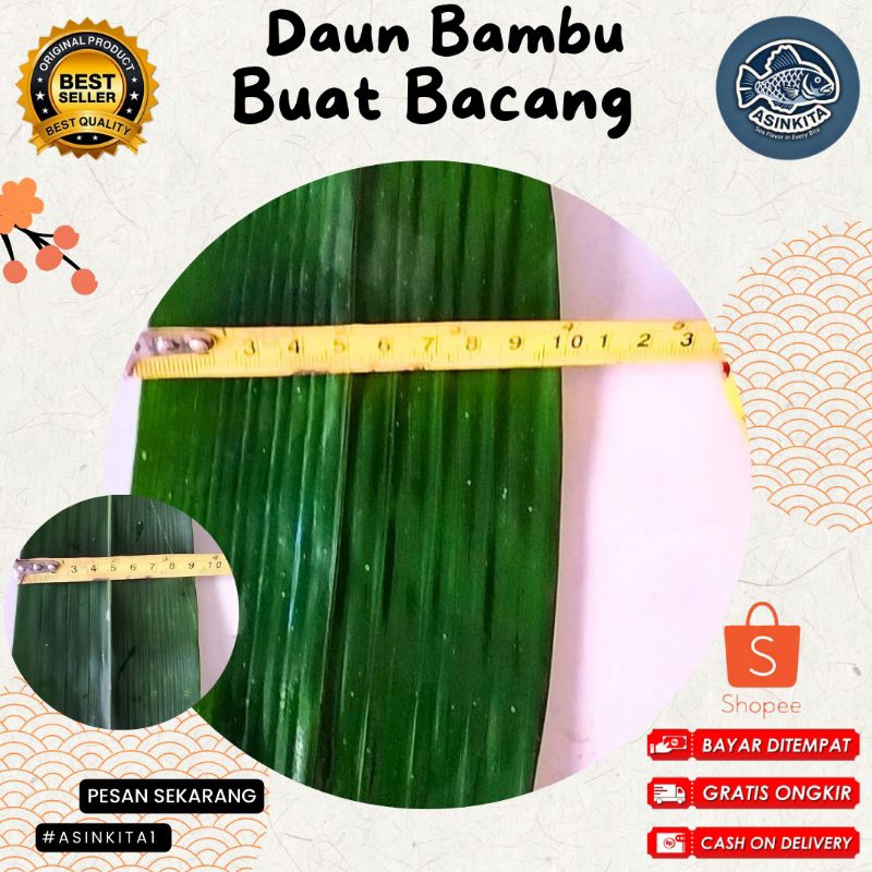

daun bacang daun babu jumbo 100 Pcs 8 cm -11 cm