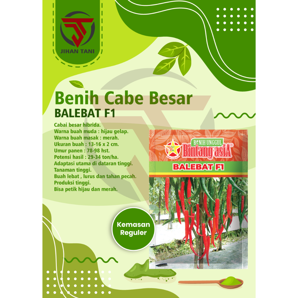 Benih Cabai Cabe Besar BALEBAT F1 10 Gram Cap Bintang Asia PT Benih Citra Asia Warna Merah Menyala C